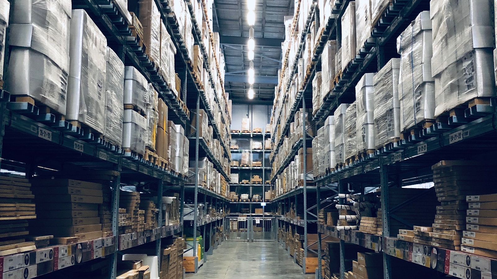 Small business owner reviewing inventory in a warehouse