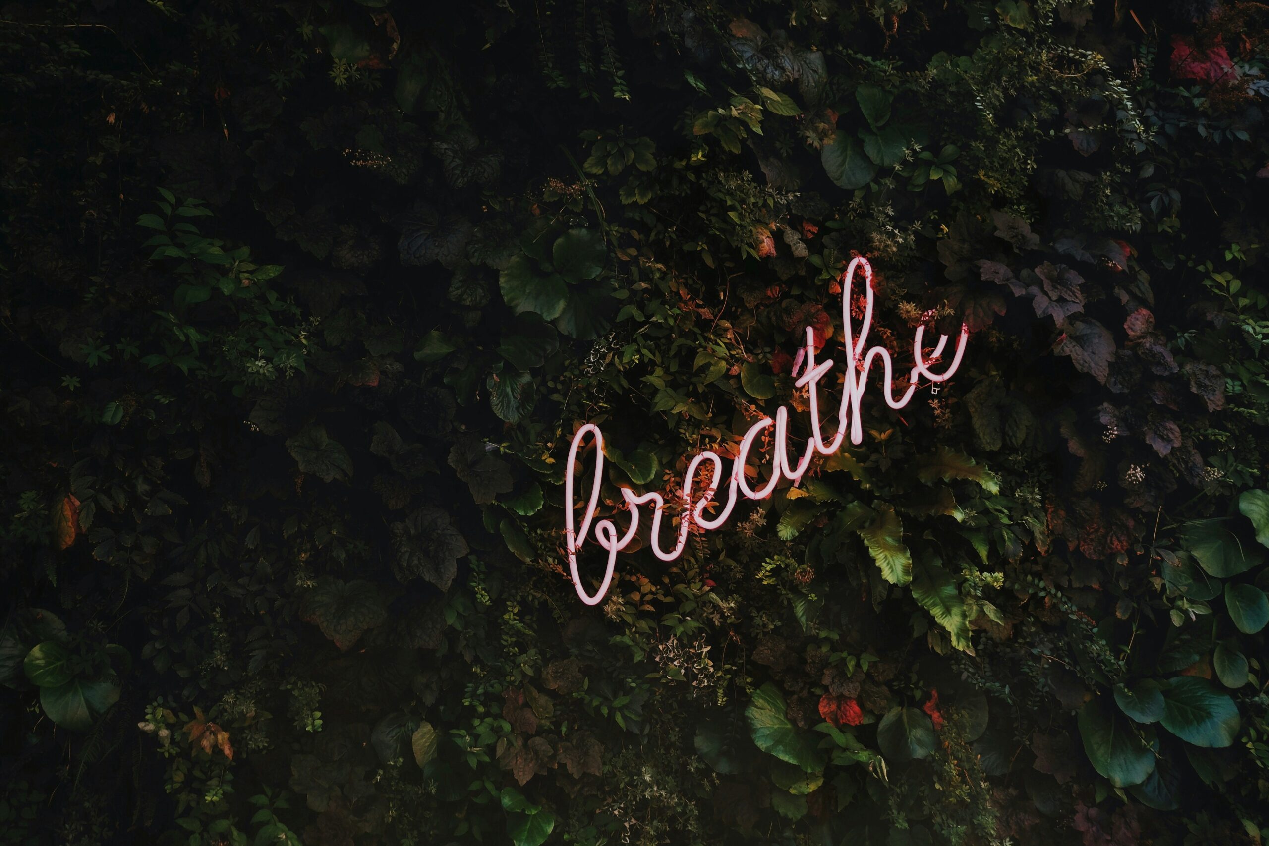 regain your energy